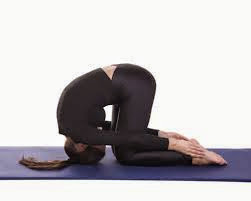  Sasangasana (Rabbit Pose)