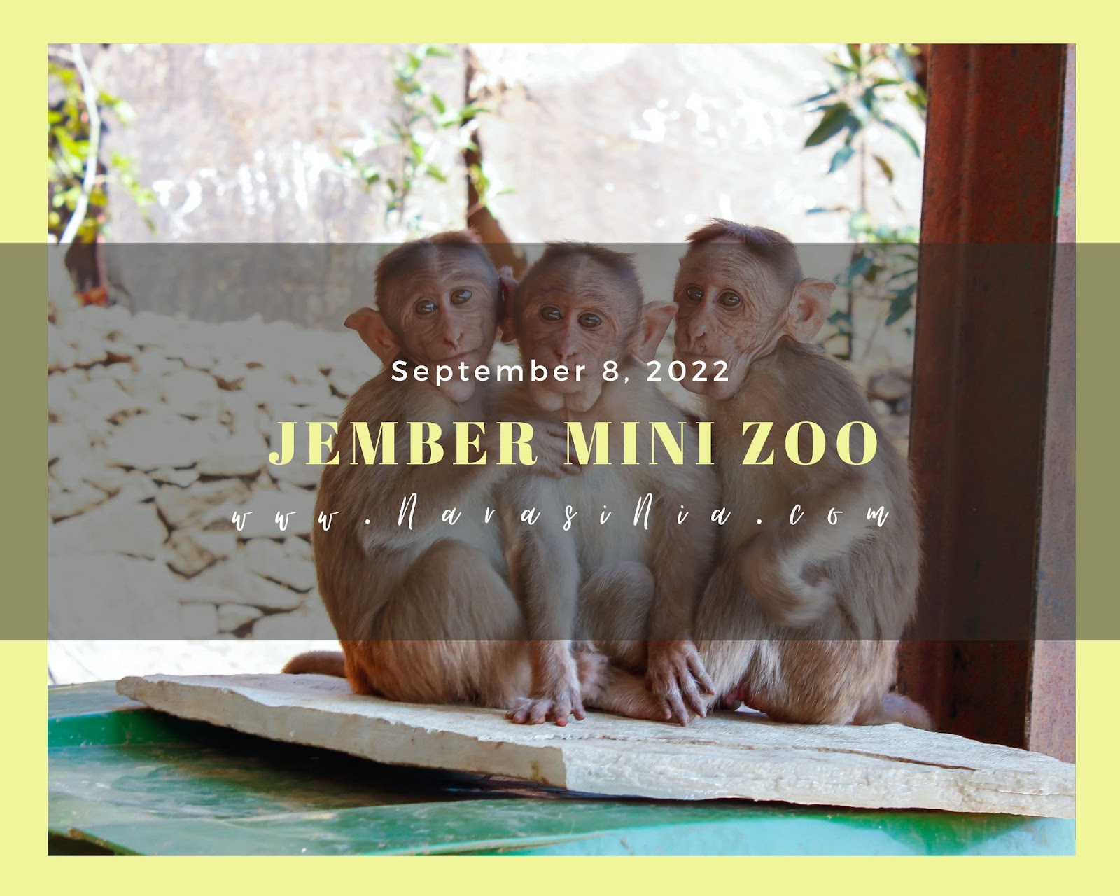 Jember Mini Zoo