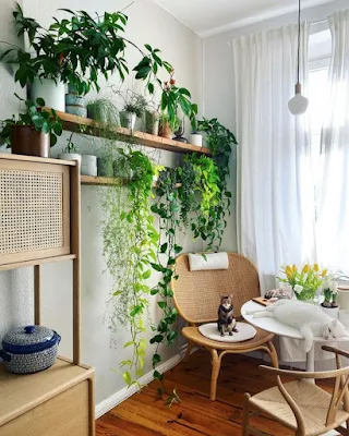 Ter plantas dentro de casa é uma ótima forma de deixar o lar mais agradável, melhorar o bem-estar e ampliar a conexão com a natureza.