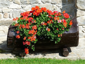 flowers in log