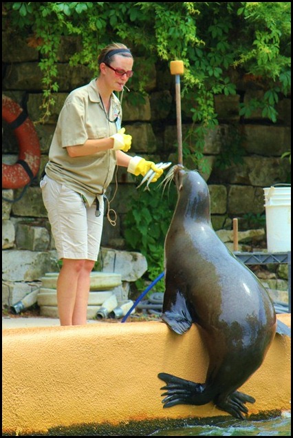Zoo4 431