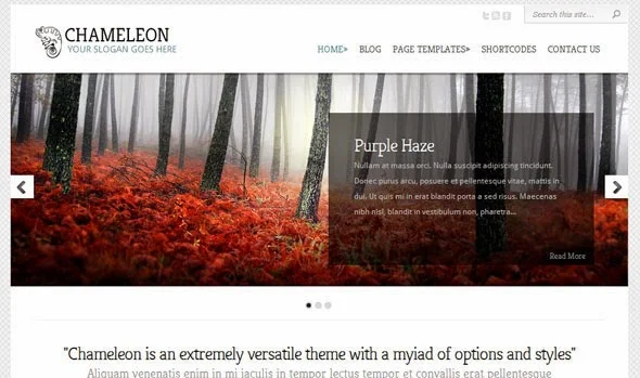Chameleon Premium Wordpress Theme