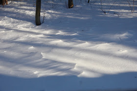 ripple marks carves in the snow by winds