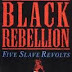 Black Rebellion Five Slave Revolts