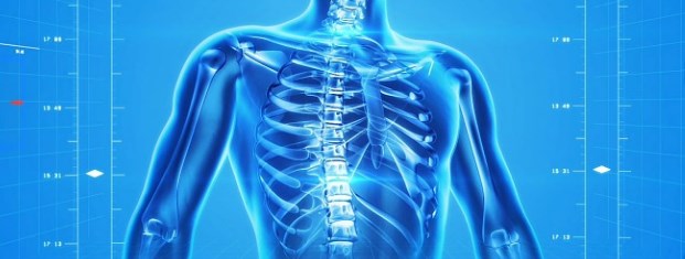 osteoporosis, tulang, penyakit tulang