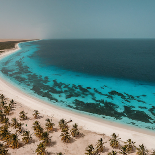 Scenic panorama of the Somali coastline showcasing a blue ocean, sandy beaches, and palm trees.