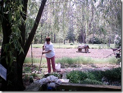 Mom In The Flower Bed