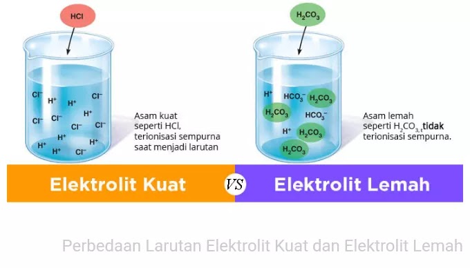 perbedaan larutan elektrolit kuat dan elektrolit lemah