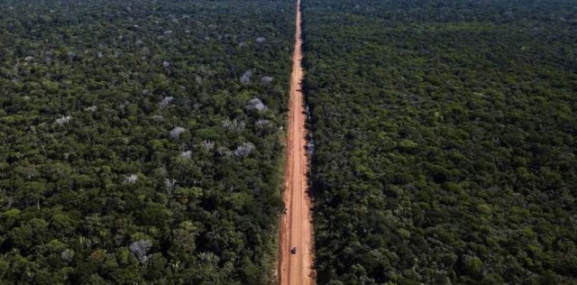 Ressuscitada por Bolsonaro, rodovia ameaça região de maior biodiversidade do Brasil