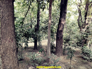 Green Park at Hauz Khash