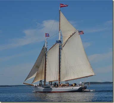 mtseaertDSC_0260