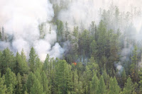 An aerial view of a forest fire in Russia on July 29. Hundreds of Russian towns and cities are shrouded in heavy smoke from wildfires in Siberia. (Credit: Associated Press) Click to Enlarge.