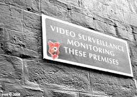 video surveillance monster