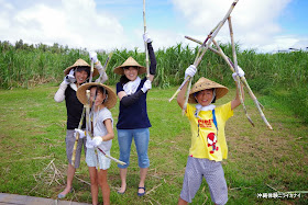 体験/観光 サトウキビ 収穫 黒糖 夏休み 宿題 自由研究