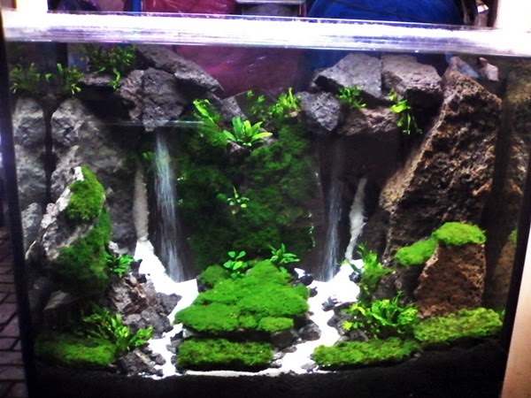 Info Baru 60+ Aquarium Hias Air Terjun
