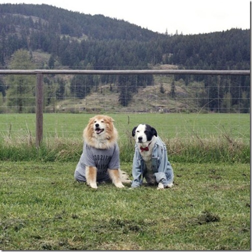 theyre_the_splitting_image_of_one_another_640_54