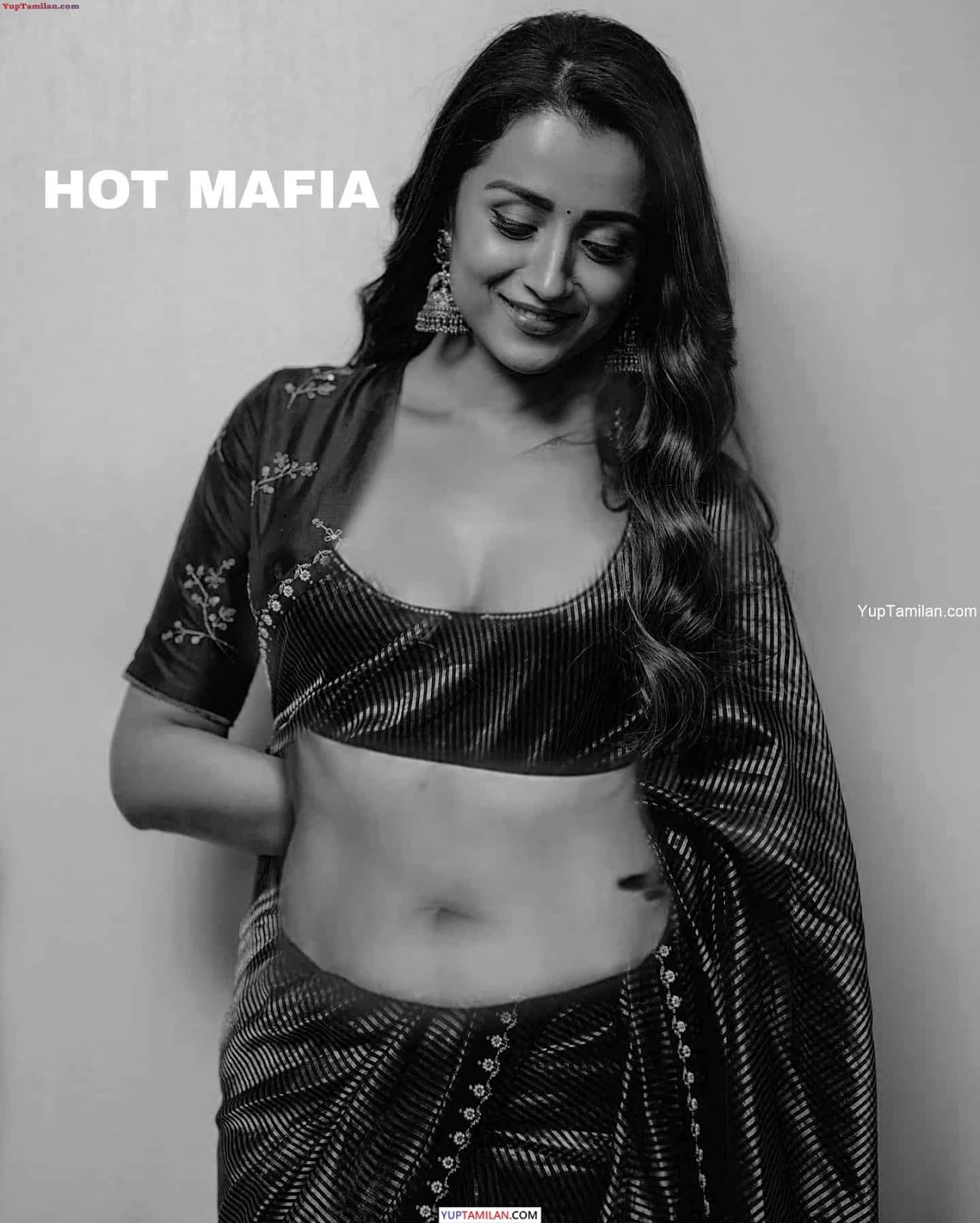 Trisha Krishnan Sexy Navel show & Hot Cleavage Pics