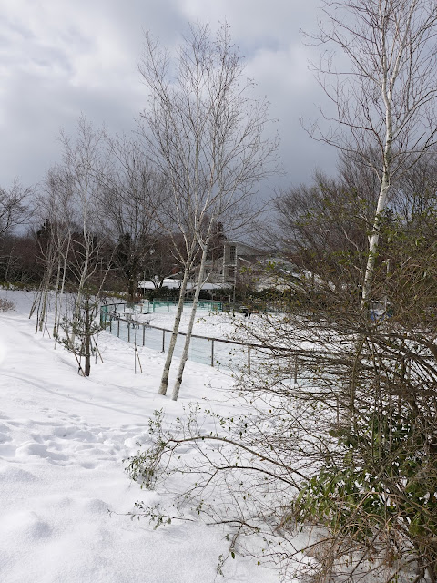 ホテル旬香大山リゾート　ドッグラン