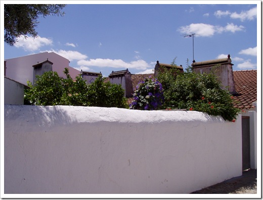 P7260054