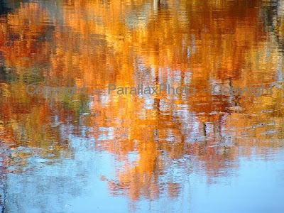 abstract orange blue fall leaves water reflection