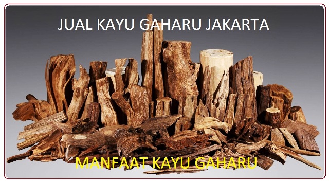 JUAL GAHARU  JAKARTA MANGGA DUA SQUARE ONLINE