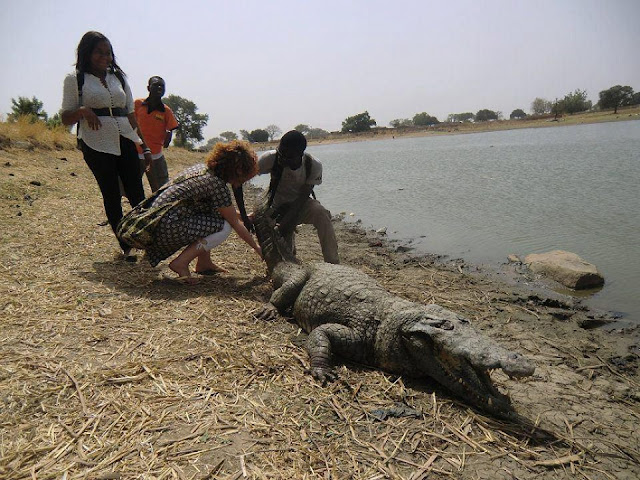 Người dân ở ngôi làng kì lạ sống cùng hàng trăm con cá sấu