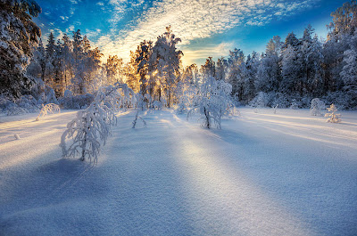 зимен пейзаж 