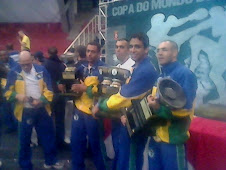 COPA DO MUNDO 2011