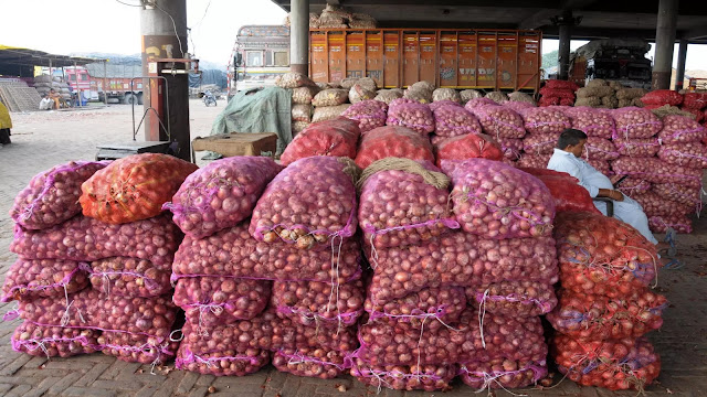 Onion Agriculture in India