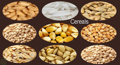 cereals, cereal crops