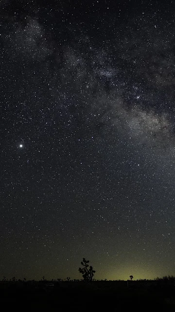 Wallpaper Stars, Trees, Night Starry Sky