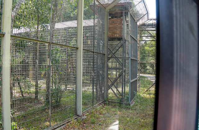 【富國島】觀光．越南最大野生動物園，近距離接觸動物｜Vinp