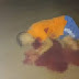 Jovem é assassinado a tiros em estrada na zona rural de Santo Antônio