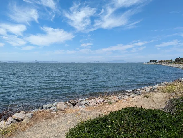 Views near the Harbor Bay Ferry Terminal in Alameda California