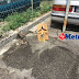 Mayat Bayi 6 Bulan Dalam Kotak