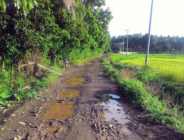 Pemandangan Indah dan Jalan Desa PEDOMAN KARYA