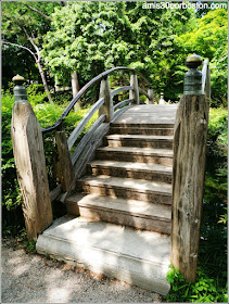 Moon Bridge del Fort Worth Japanese Garden