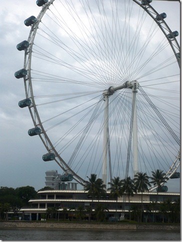 P1020319