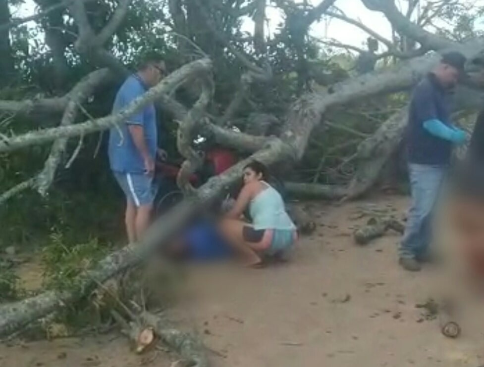 Homem morre ao parar moto na sombra para atender celular e árvore cair em cima dele