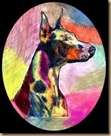Cora 06
