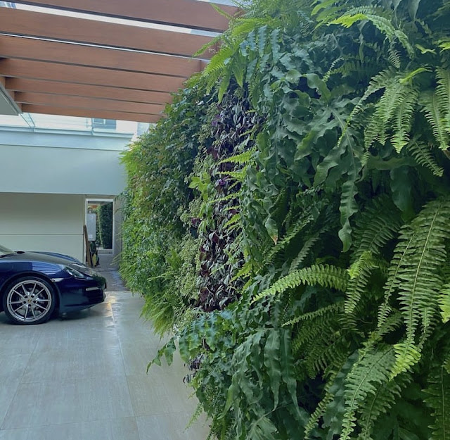Green wall