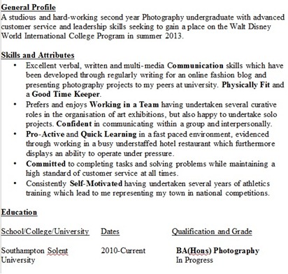 disney icp cv example