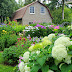 In an English Country Garden