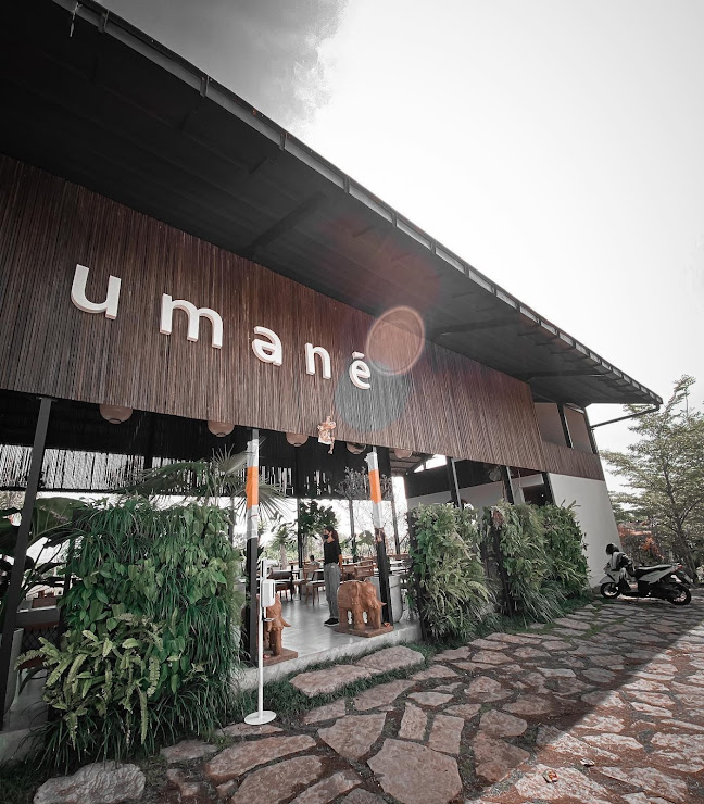 Lokasi dan Harga Menu UMANE Cafe Bali Terbaru