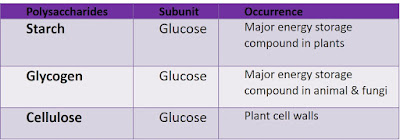 Polysaccharides