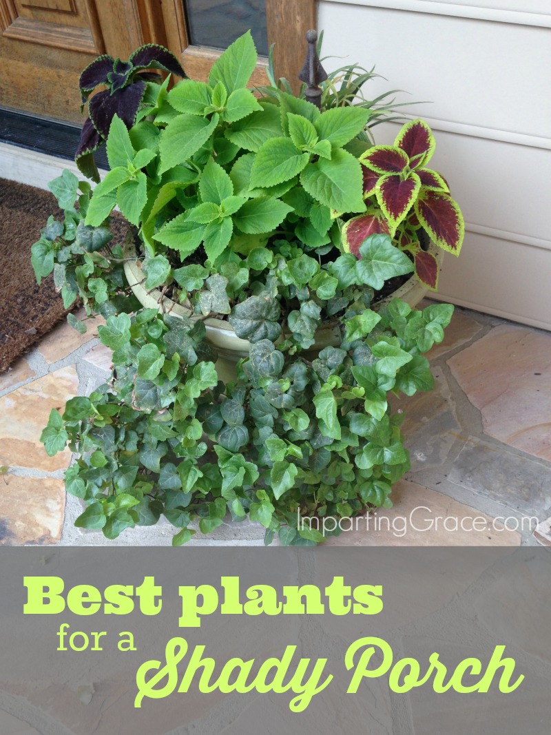 Imparting Grace: Best plants for a shady porch