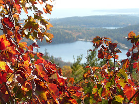 Gorham Mountain Acadia National Park