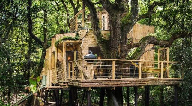 A tree house with a large room design