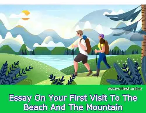 Essay On Your First Visit To The Beach And The Mountain