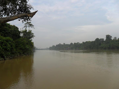 UDANG GALAH: LAMBAIAN JENGGO ENDAU